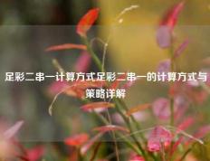 足彩二串一计算方式足彩二串一的计算方式与策略详解