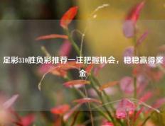 足彩310胜负彩推荐一注把握机会，稳稳赢得奖金