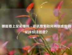 哪能看上足彩爆料 - 资讯搜索如何辨别虚假的足球投注信息？