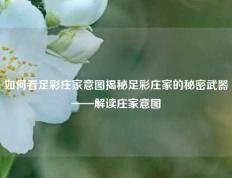 如何看足彩庄家意图揭秘足彩庄家的秘密武器——解读庄家意图