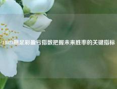 18023期足彩盈亏指数把握未来胜率的关键指标