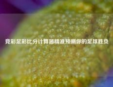 竞彩足彩比分计算器精准预测你的足球胜负