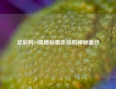 足彩网14揭秘彩票市场的神秘面纱