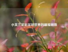 小芙兰足彩足球世界的璀璨明珠