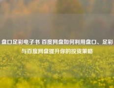 盘口足彩电子书 百度网盘如何利用盘口、足彩与百度网盘提升你的投资策略