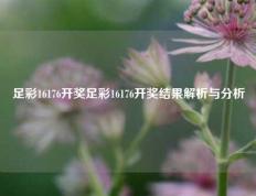 足彩16176开奖足彩16176开奖结果解析与分析