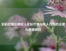 足彩代理在哪拉人足彩代理与拉人行为的法律与道德探讨