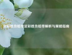 足彩胜负赔率足彩胜负赔率解析与策略指南