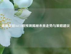 最新足彩16172期预测揭秘未来走势与策略建议