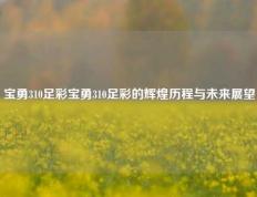 宝勇310足彩宝勇310足彩的辉煌历程与未来展望