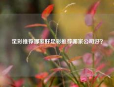 足彩推荐哪家好足彩推荐哪家公司好？