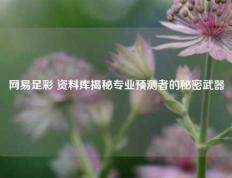 网易足彩 资料库揭秘专业预测者的秘密武器