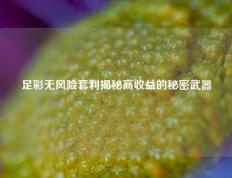足彩无风险套利揭秘高收益的秘密武器