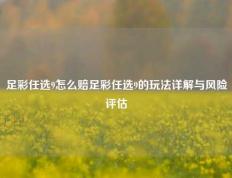 足彩任选9怎么赔足彩任选9的玩法详解与风险评估