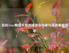 足彩16164期佬牛预测精准命中率与实战策略分享
