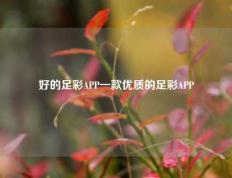 好的足彩APP一款优质的足彩APP