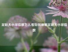 足彩大小球指数怎么看如何理解足彩大小球指数