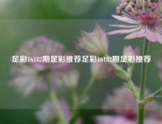 足彩16182期足彩推荐足彩16182期足彩推荐
