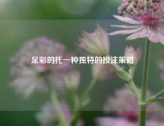 足彩的托一种独特的投注策略