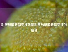 彩票新浪足彩竞技风暴彩票与新浪足彩竞技的结合