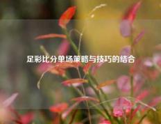 足彩比分单场策略与技巧的结合