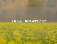 足彩,上车一种独特的生活方式