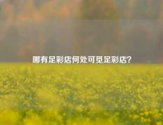 哪有足彩店何处可觅足彩店？