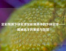 足彩预测少林足球足彩预测中的少林足球——揭秘高手的策略与智慧