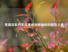 竞猜足彩开奖结果查询揭秘你的胜负之道