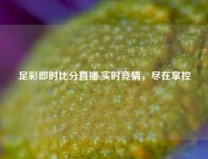 足彩即时比分直播.实时竞猜，尽在掌控