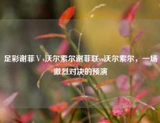 足彩谢菲Ⅴs沃尔索尔谢菲联vs沃尔索尔，一场激烈对决的预演