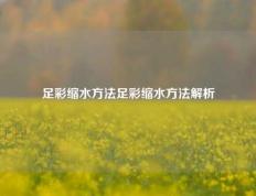 足彩缩水方法足彩缩水方法解析