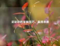 足彩必胜掌握技巧，赢得未来
