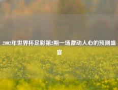 2002年世界杯足彩第2期一场激动人心的预测盛宴