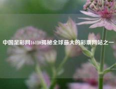 中国足彩网16110揭秘全球最大的彩票网站之一