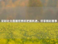 足彩比分直播世界杯把握机遇，尽享精彩赛事
