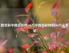 胜负彩中国足彩网500万中国足彩网的500万元大奖