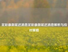 足彩最新延迟消息足彩最新延迟消息解析与应对策略
