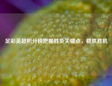 足彩英超积分榜把握胜负关键点，稳抓胜机