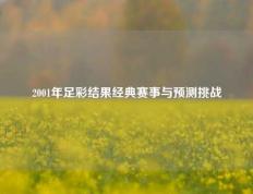 2001年足彩结果经典赛事与预测挑战