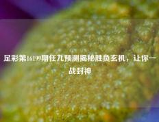 足彩第16199期任九预测揭秘胜负玄机，让你一战封神