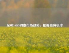 足彩16065洞察市场趋势，把握胜负机率