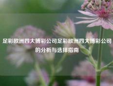 足彩欧洲四大博彩公司足彩欧洲四大博彩公司的分析与选择指南