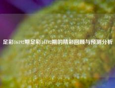 足彩16192期足彩16192期的精彩回顾与预测分析
