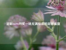 足彩16194开奖一场充满惊喜的足球盛宴