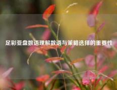 足彩亚盘数语理解数语与策略选择的重要性