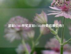 足彩17183开奖足彩17183开奖结果公布！