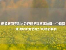 新浪足彩竞彩比分把握足球赛事的每一个瞬间——新浪足彩竞彩比分的精彩解析