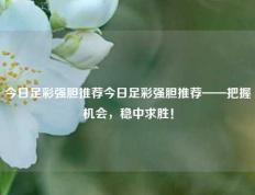 今日足彩强胆推荐今日足彩强胆推荐——把握机会，稳中求胜！