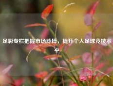 足彩专栏把握市场脉搏，提升个人足球竞技水平